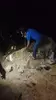 sismo en peru