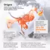 Infografía avispón asesino